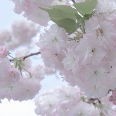 兽设写实风格绘画Furry群